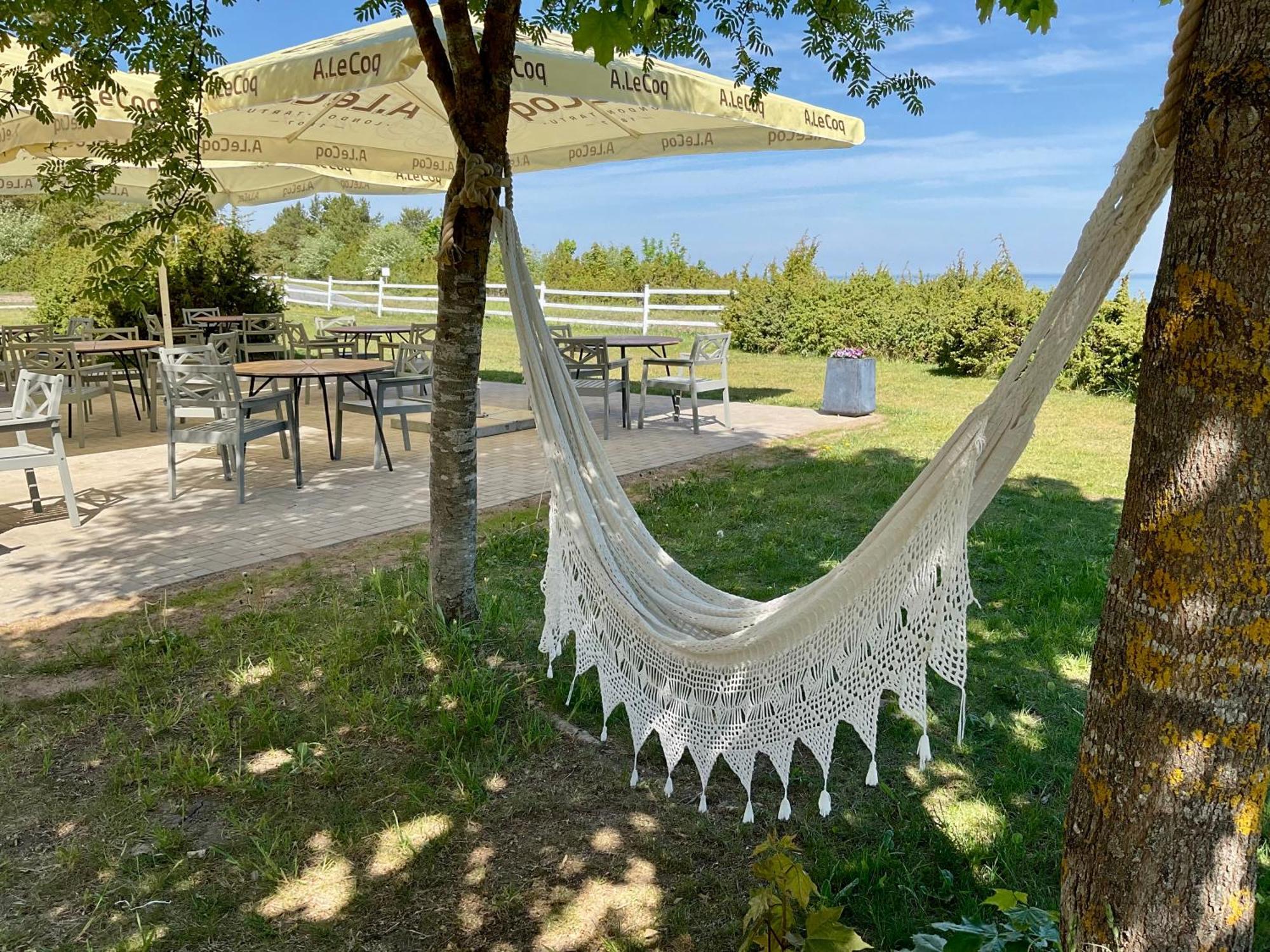 Hotel Kliff Butiik Majutus & Restoran Panga Exterior foto